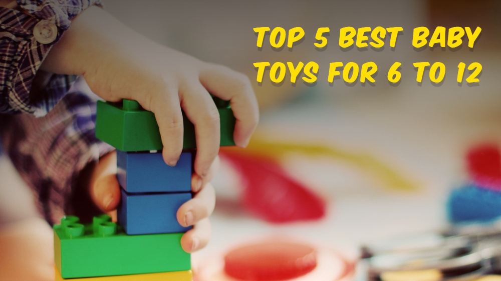 Top 5 Best Baby Toys for 6 to 12