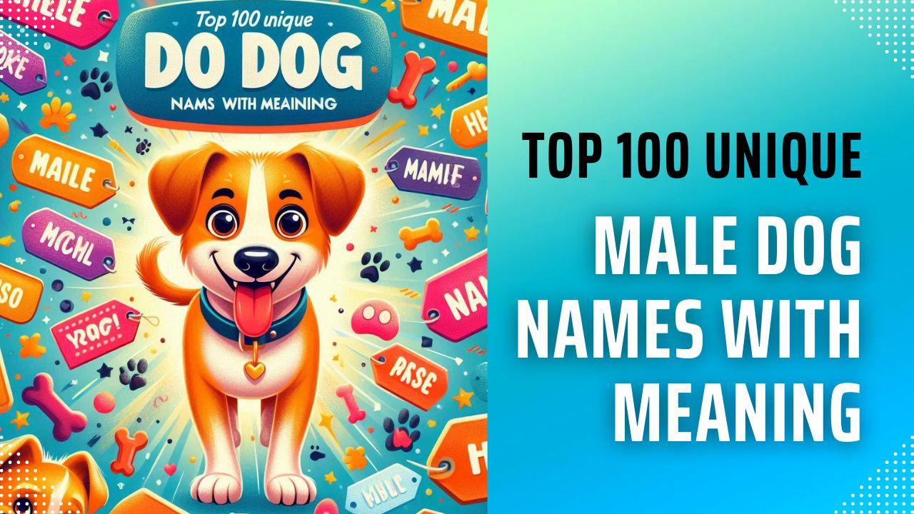 Top 100 Unique Male Dog Names with Meaning