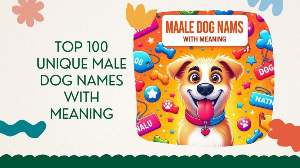 Top 100 Unique Male Dog Names with Meaning