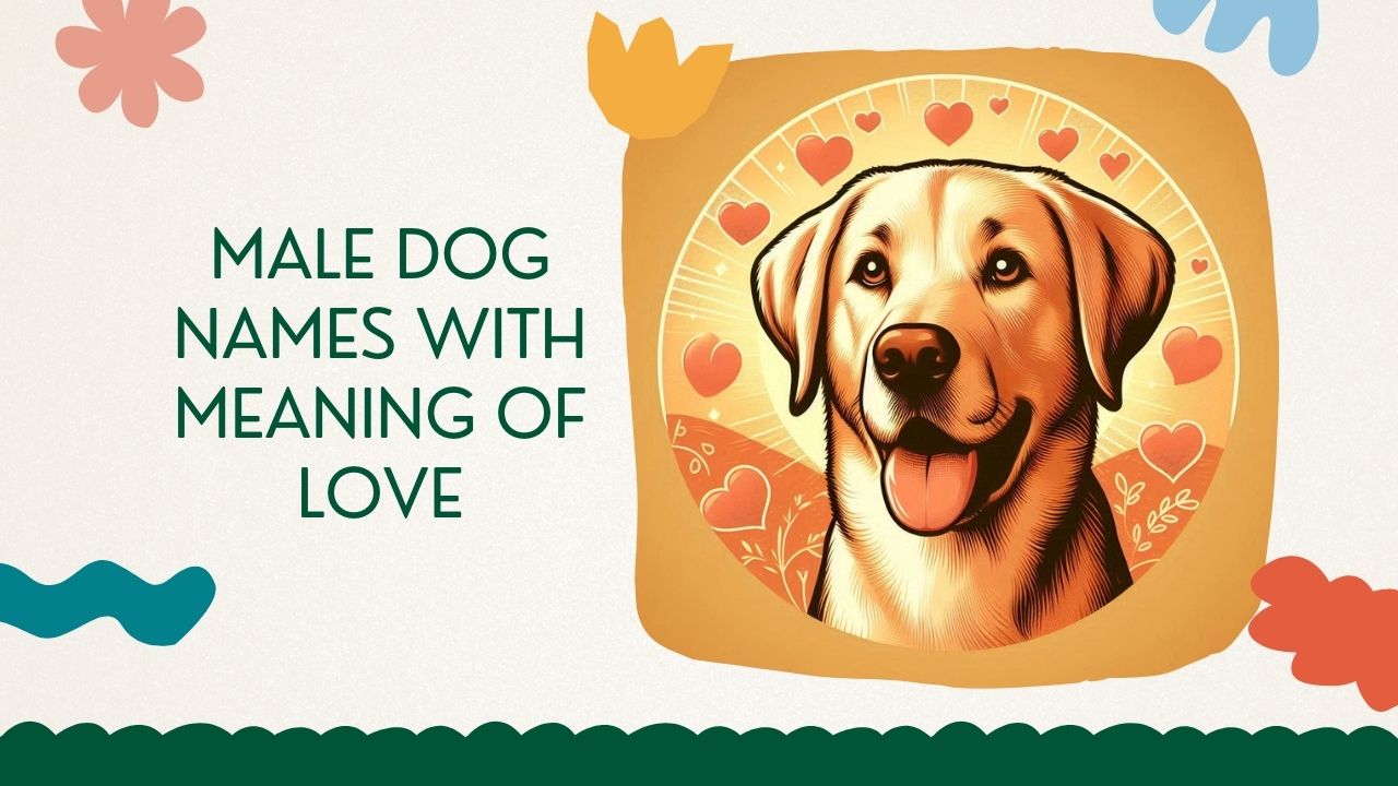 Male dog names with meaning of love