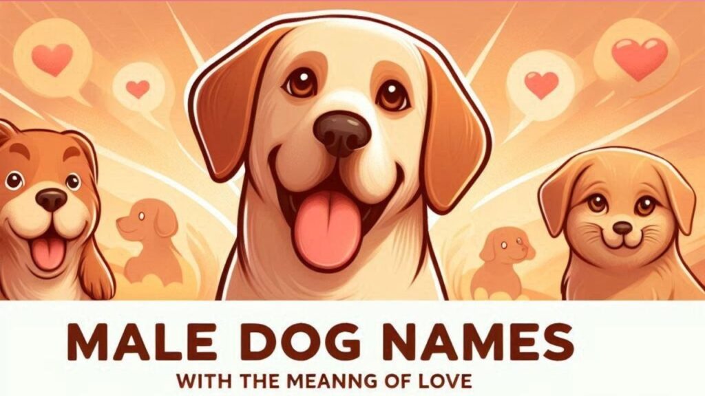 Male dog names with meaning of love