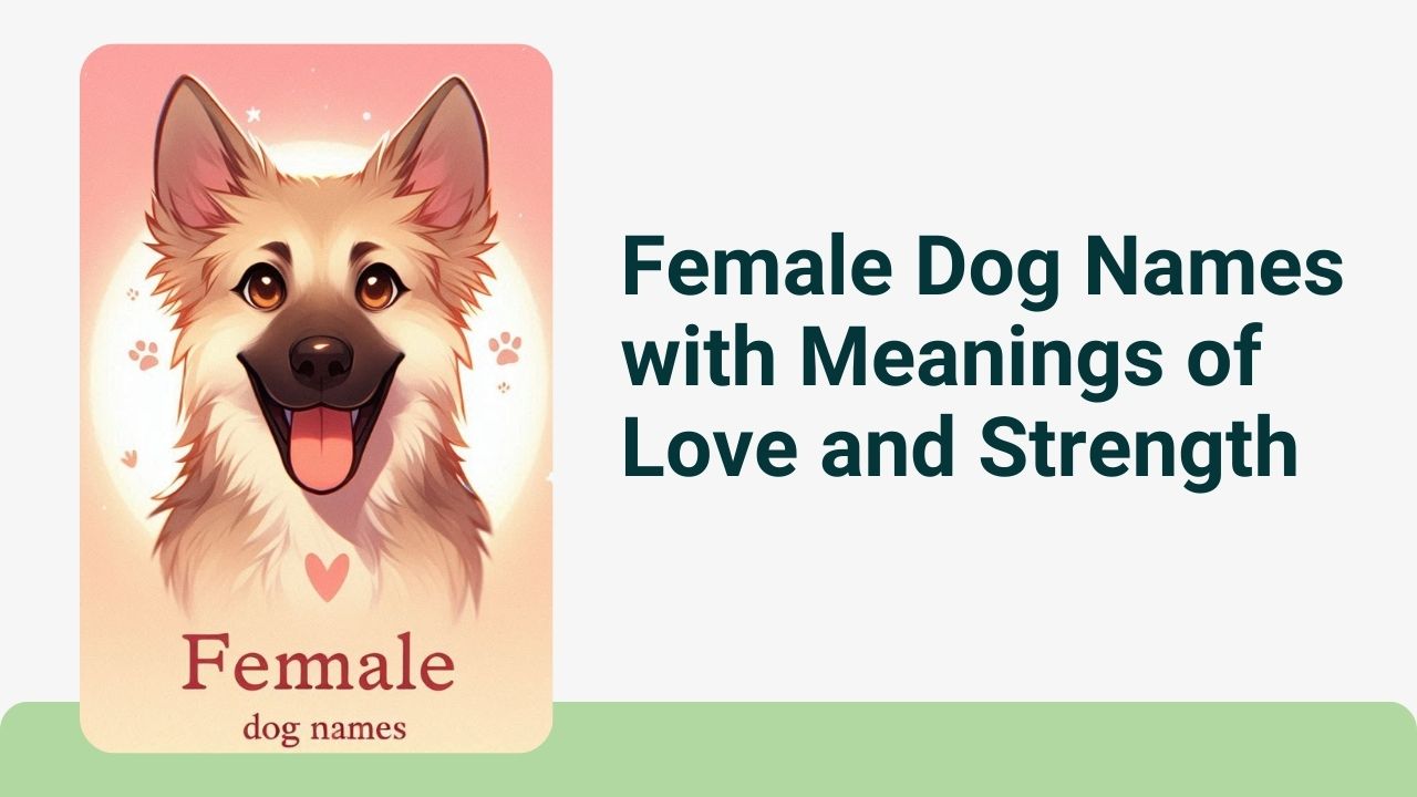 Female dog names with meaning of love and strength