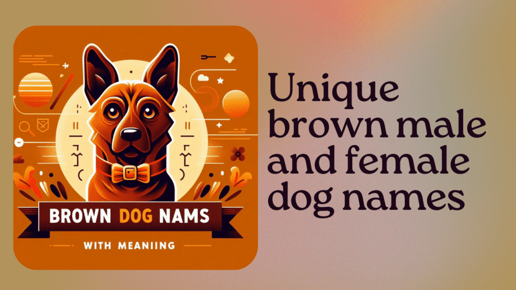 Unique brown male and female dog names with meaning